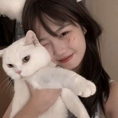 火狐电竞·huohu截图